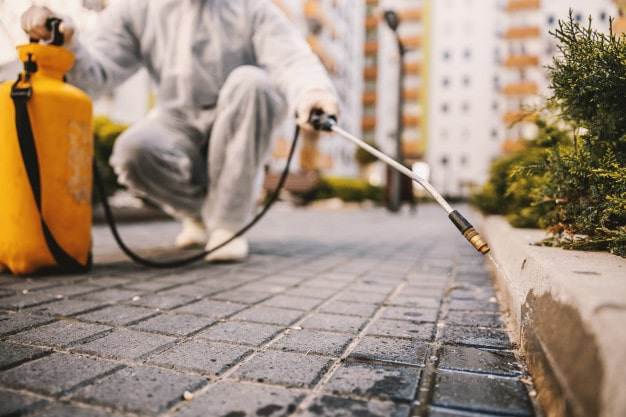 Foto de portada de Fumigaciones En Zona Norte
